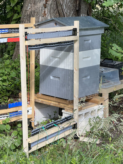 kit ApiHarpe 12M